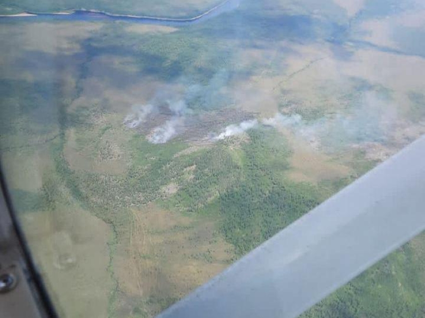 Три лесных пожара ликвидированы за сутки в Zабайкалье